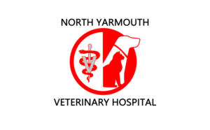 NYVH Logo, CIC Sponsor